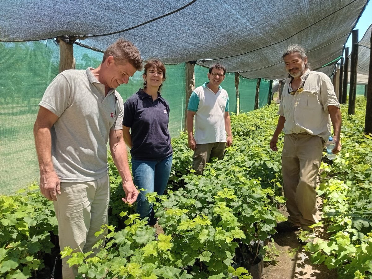 nodestruyanINTA's tweet photo. 3/7  🌾 A través de diversos programas, el #INTA acompaña políticas públicas en el Agro, brinda asesoramiento técnico, releva las demandas del territorio y participa activamente en procesos de innovación técnica y organizacional. https://t.co/4lWOCDoVaZ