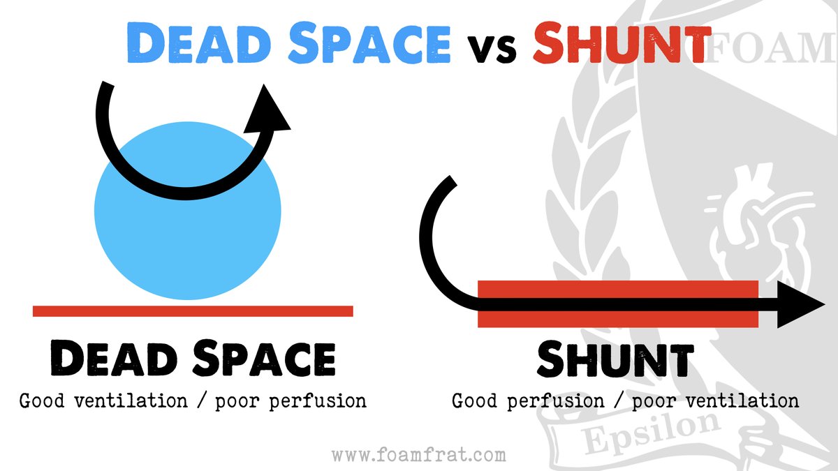 Dead Space 🆚 Shunt 

Dead Space = Ventilation ✅ / Perfusion ❌

Shunt = Ventilation ❌ / Perfusion ✅