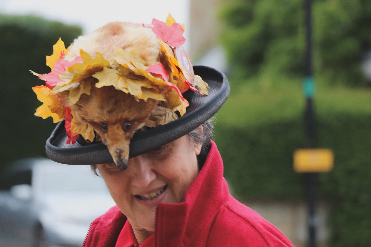 Michelle Ward tweet media