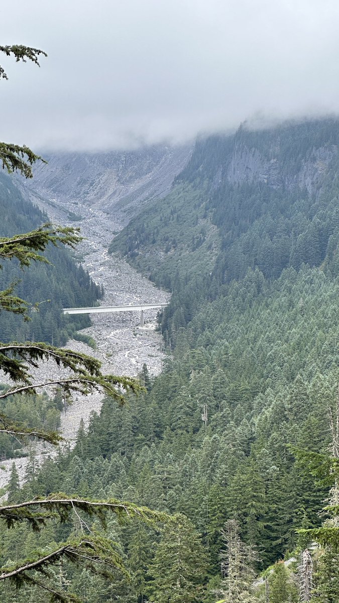 TesLatino tweet media