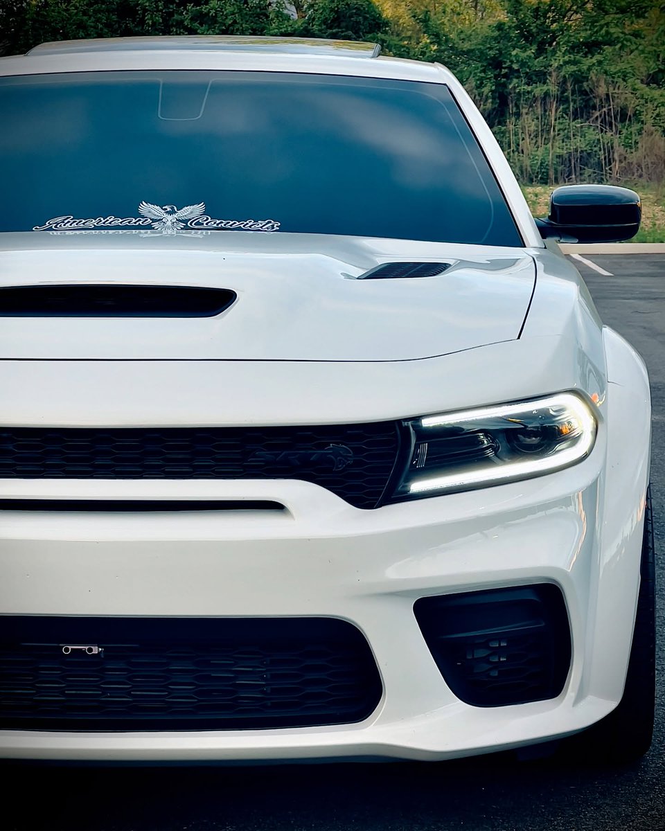 Mopar Chakmol🩵 (@moparchakmol) on Twitter photo 