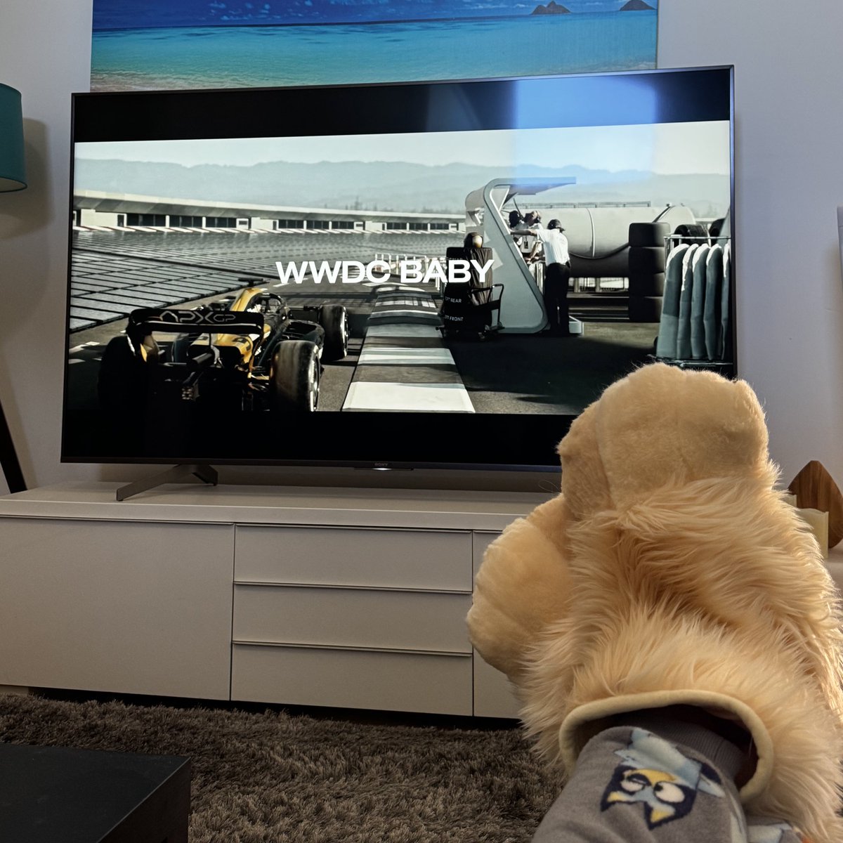 Kira 🐶🐾 tweet media