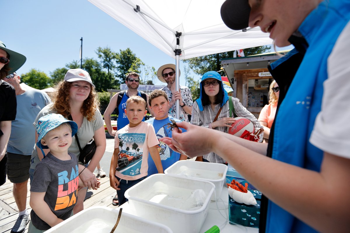 We had a wonderful World Ocean Day at Fisherman’s Wharf yesterday. We'd like to say thank you to our friends at Eagle Wing Tours for organizing the event and to all the organizations who joined us to celebrate ocean conservation. It was a truly inspiring day.