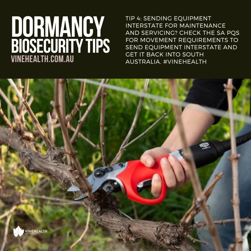 Dormancy Tip #4: Sending equipment interstate for maintenance and servicing? Check the SA PQS for movement requirements to send equipment interstate and get it back into South Australia: vinehealth.com.au/rules/state-mo…  #Vinehealth
