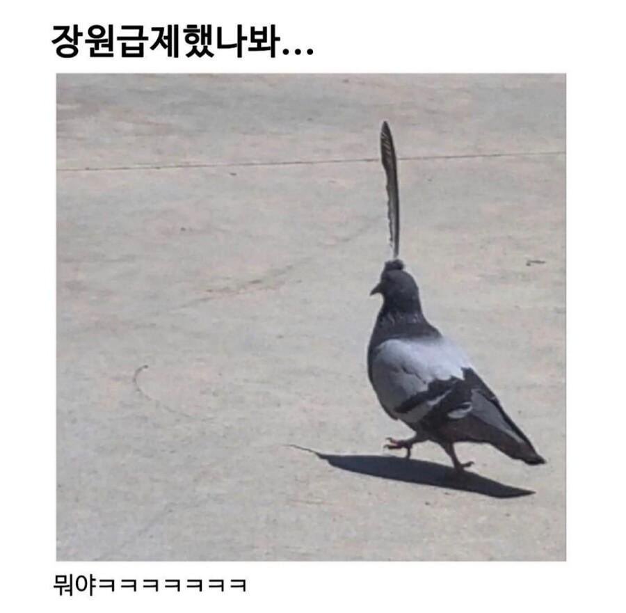 아 웃기다ㅋㅋㅋㅋ