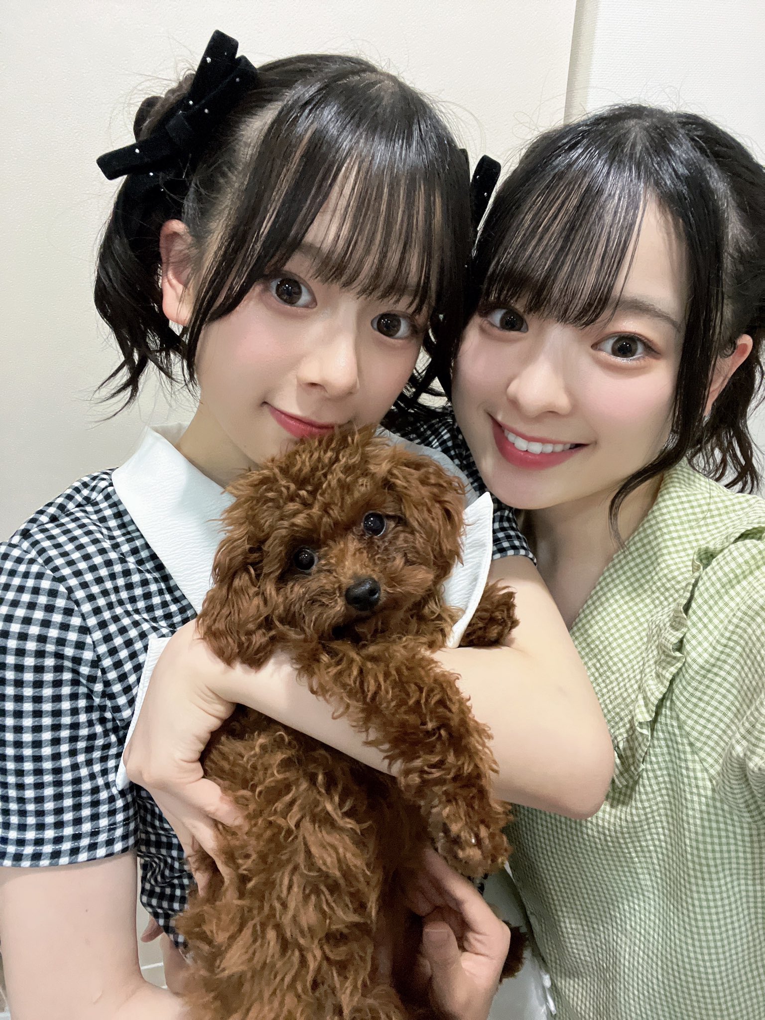 NMB48 青原和花 2025.May 絶滅黒髪少女 ランダム生写真 A 直筆 NMB48 青原和花 2025.May 絶滅黒髪少女 ランダム生写真 A 直筆