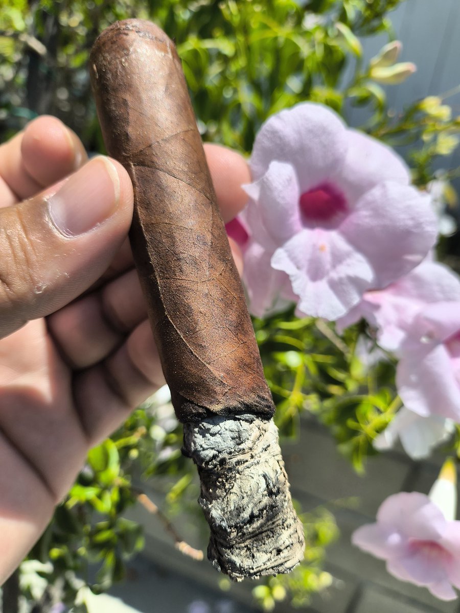 PuffSmokeNAsh's tweet photo. Chillaxin with another 🦄 2020 Unicorn 🦄 in the #BackyardLounge 🔥🔥🔥🔥🔥 https://t.co/Y00T1862E5