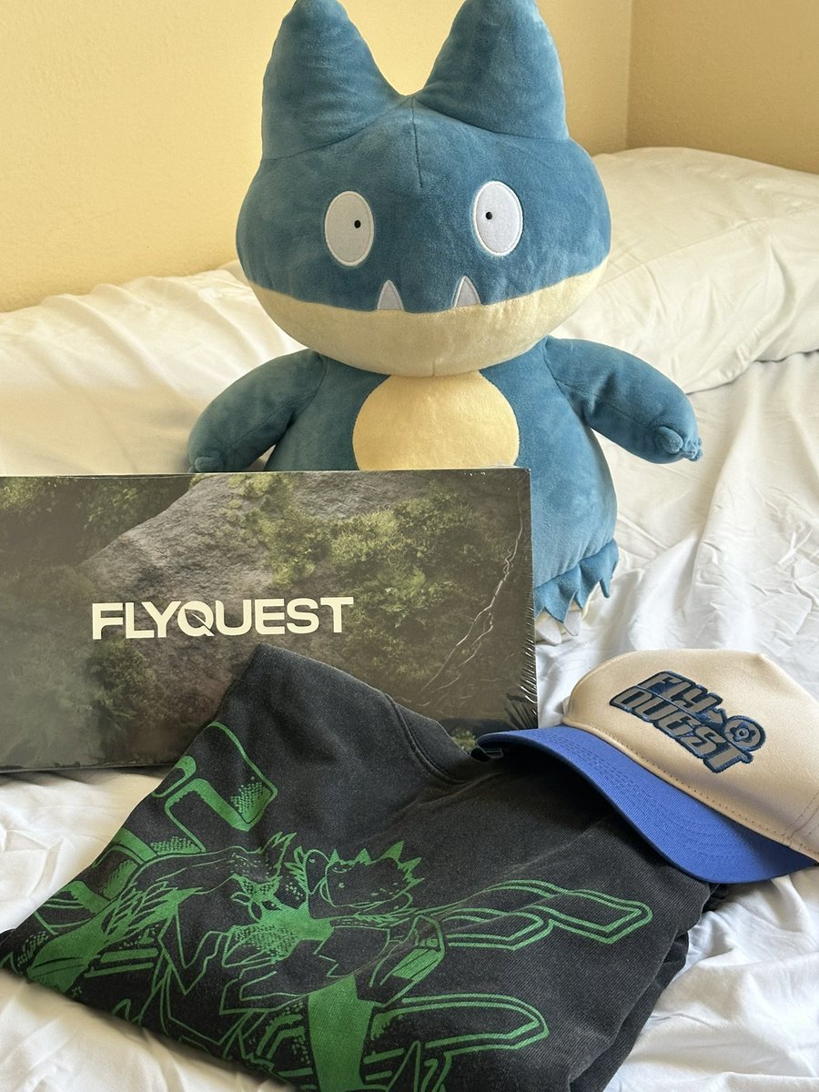 my @flyquest solar punk goodies came in!! amazing quality as always (ft. macho)

#FLYQUEST