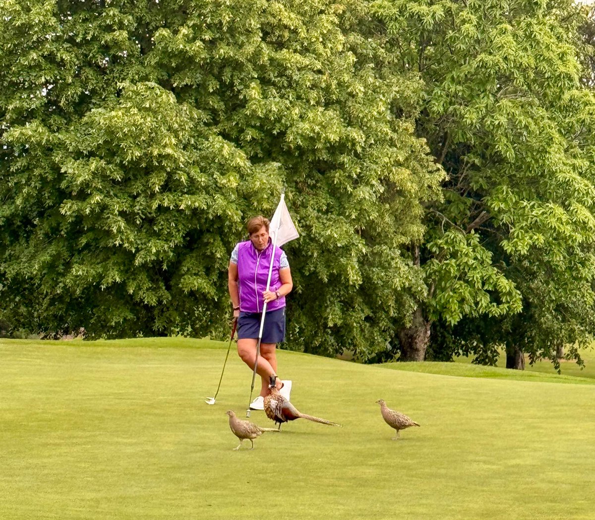 Douglas Golf Club (@douglasgolfclub) on Twitter photo Our Senior Foursomes ladies had a practice round at <a href="/CorkGolfClub/">Cork Golf Club</a> yesterday.
Deirdre O' Sullivan was "pheasantly surprised" when some of the locals arrived to offer to help her read the line of one of her putts! 😀 Our Senior Foursomes ladies had a practice round at <a href="/CorkGolfClub/">Cork Golf Club</a> yesterday.
Deirdre O' Sullivan was "pheasantly surprised" when some of the locals arrived to offer to help her read the line of one of her putts! 😀