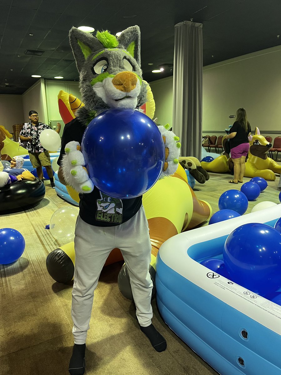 Look! I’ve found a majestical balloon at #stratosfur2025 :3