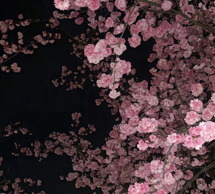 seodusted's tweet image. ⠀⠀

⠀⠀ ⠀ ⠀ # ⠀⠀，⠀ 𝗕𝗟𝝝𝝝𝗗𝗦𝗧𝗥𝗘𝝠𝗠。⠀ 𝗍𝗆 ⠀ 𝟮𝟬𝟭𝟳
⠀ ⠀ ⠀ ⠀ ❝ ⠀⠀ 불꽃  𝗌𝖾𝗈 𝖺𝖾𝗋𝗂𝗇. ⠀⠀▃▃⠀⠀ ༅ ⠀