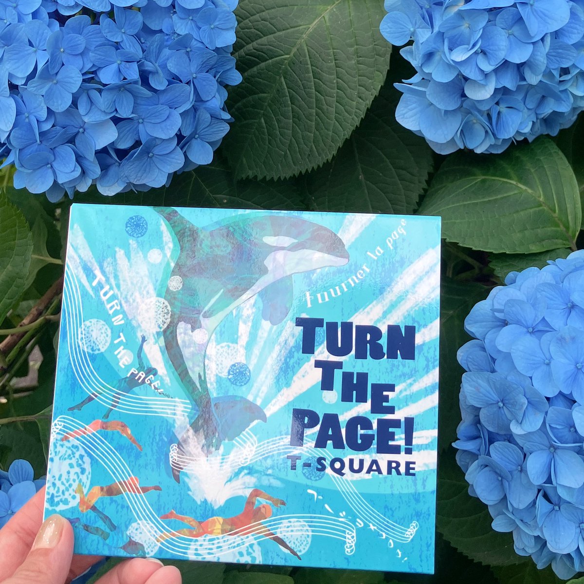🎷🎷🎷

T-SQUARE New Album “TURN THE PAGE!”が
6月5日に発売されました👏🎊🎊
おめでとうございます！！

弊社ではレコーディング作業に携わらせていただきました！
みなさま是非お聴きください🫶🫶

#tsquare #turnthepage #jazz #fusion
#onkiohaus #音響ハウス