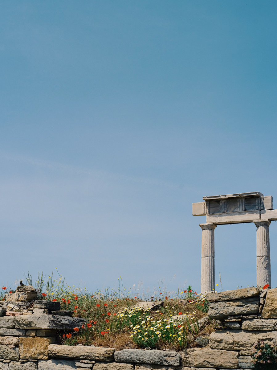 Natsuho Yamanaka tweet media