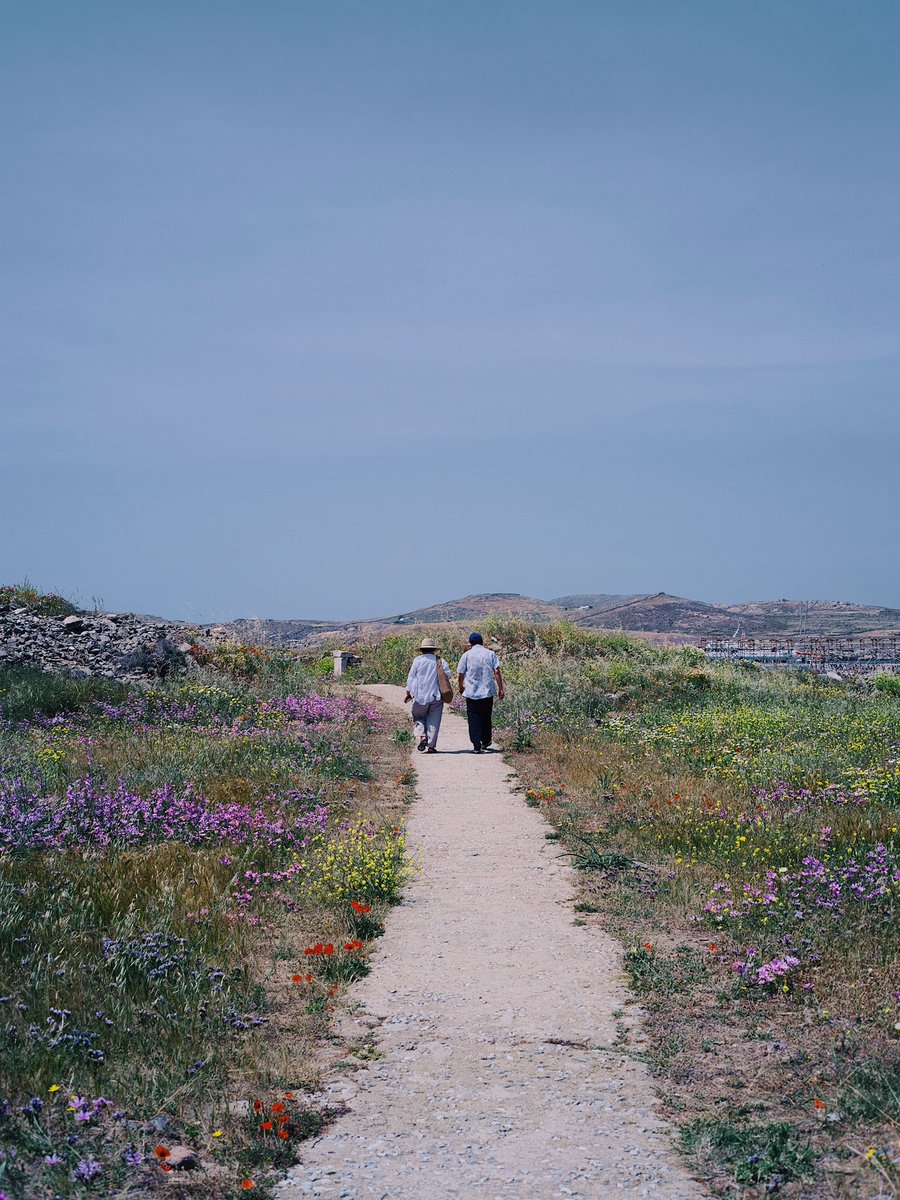 Natsuho Yamanaka tweet media