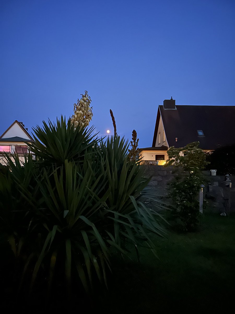 Haus Nordlicht (@nordlichtruegen) on Twitter photo Der letzte Blick heute Abend, bevor die #Wolken kamen … #Abendhimmel #Mond #Wetter auf #Rügen … Der letzte Blick heute Abend, bevor die #Wolken kamen … #Abendhimmel #Mond #Wetter auf #Rügen …