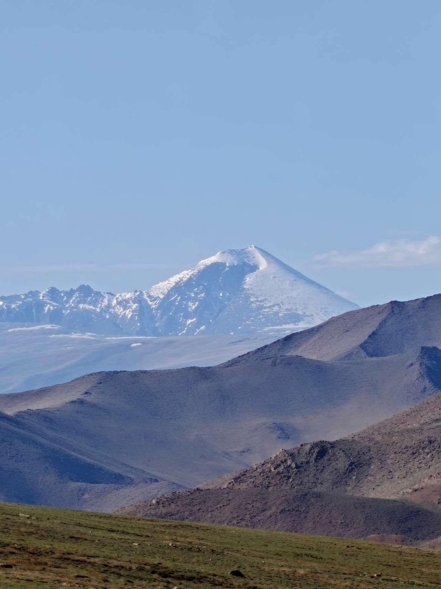 Монголын заяа ихээ 
#Mongol 🇲🇳