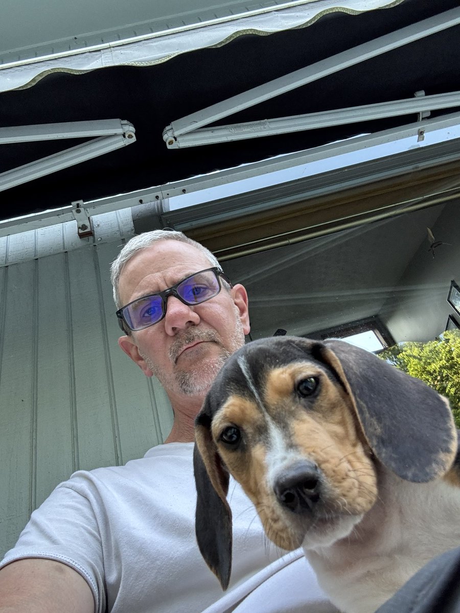 Meet Norman.