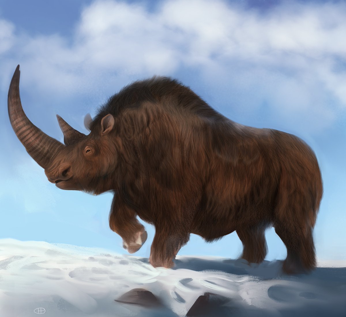 dinodanicus's tweet image. Here is a blast from the past an old illustration I made of a #woolly #rhino.
#illustration #mammal #prehistoric #paleoart #Paleontology #wildlife #iceage #snow #megafauna