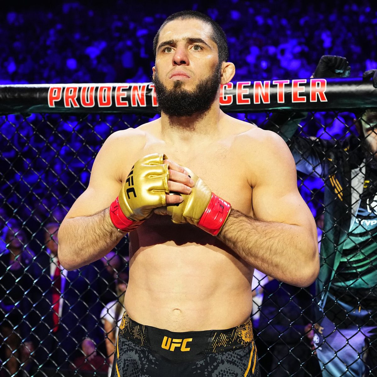 Dovy🔌 tweet media