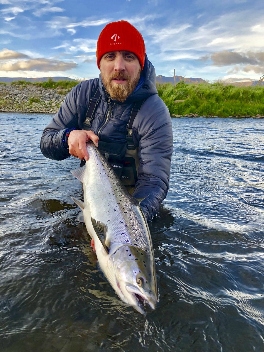 ElevenAngling (@elevenangling) on Twitter photo Chrome-bright and ready to fight.
#flyfishing #flyfish #elevenangling #elevenexperience <a href="/elevenexperienc/">Eleven Experience</a> Chrome-bright and ready to fight.
#flyfishing #flyfish #elevenangling #elevenexperience <a href="/elevenexperienc/">Eleven Experience</a>