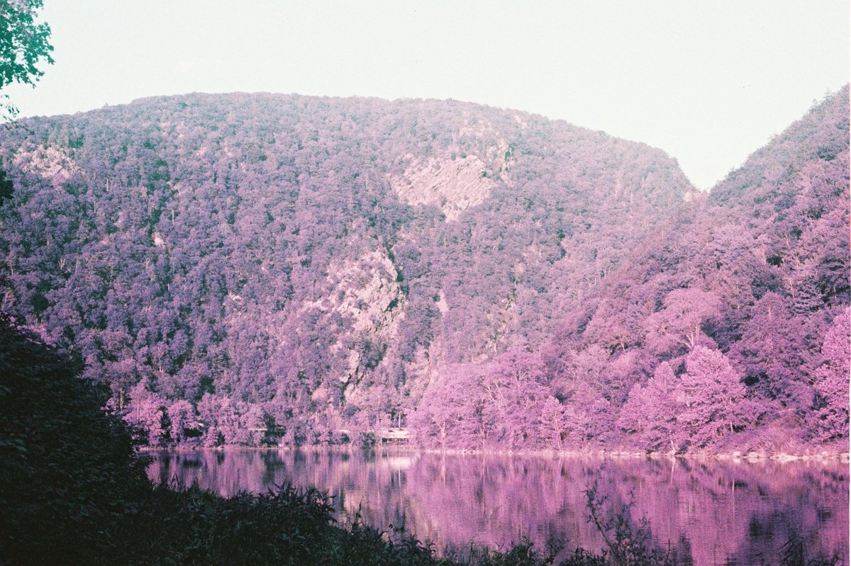 ʙᴇᴄᴋʏ ʙᴇx tweet media