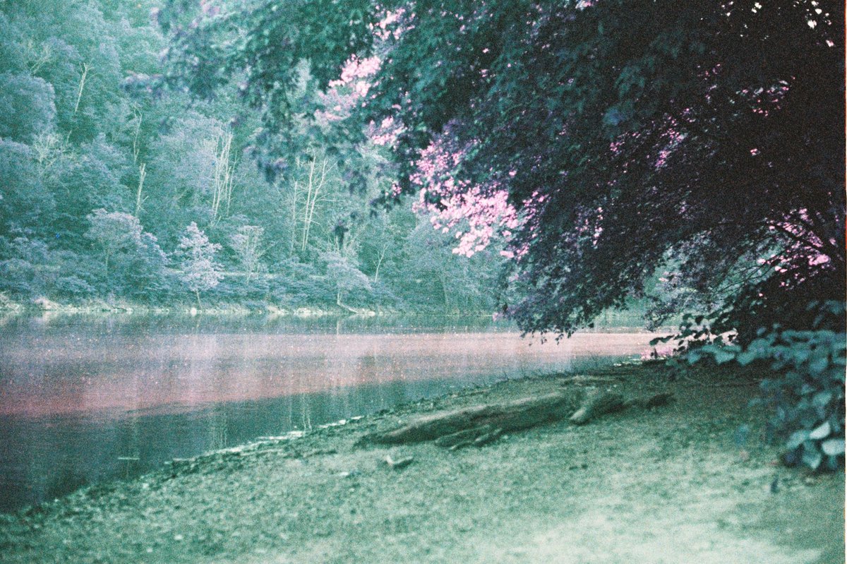 ʙᴇᴄᴋʏ ʙᴇx tweet media