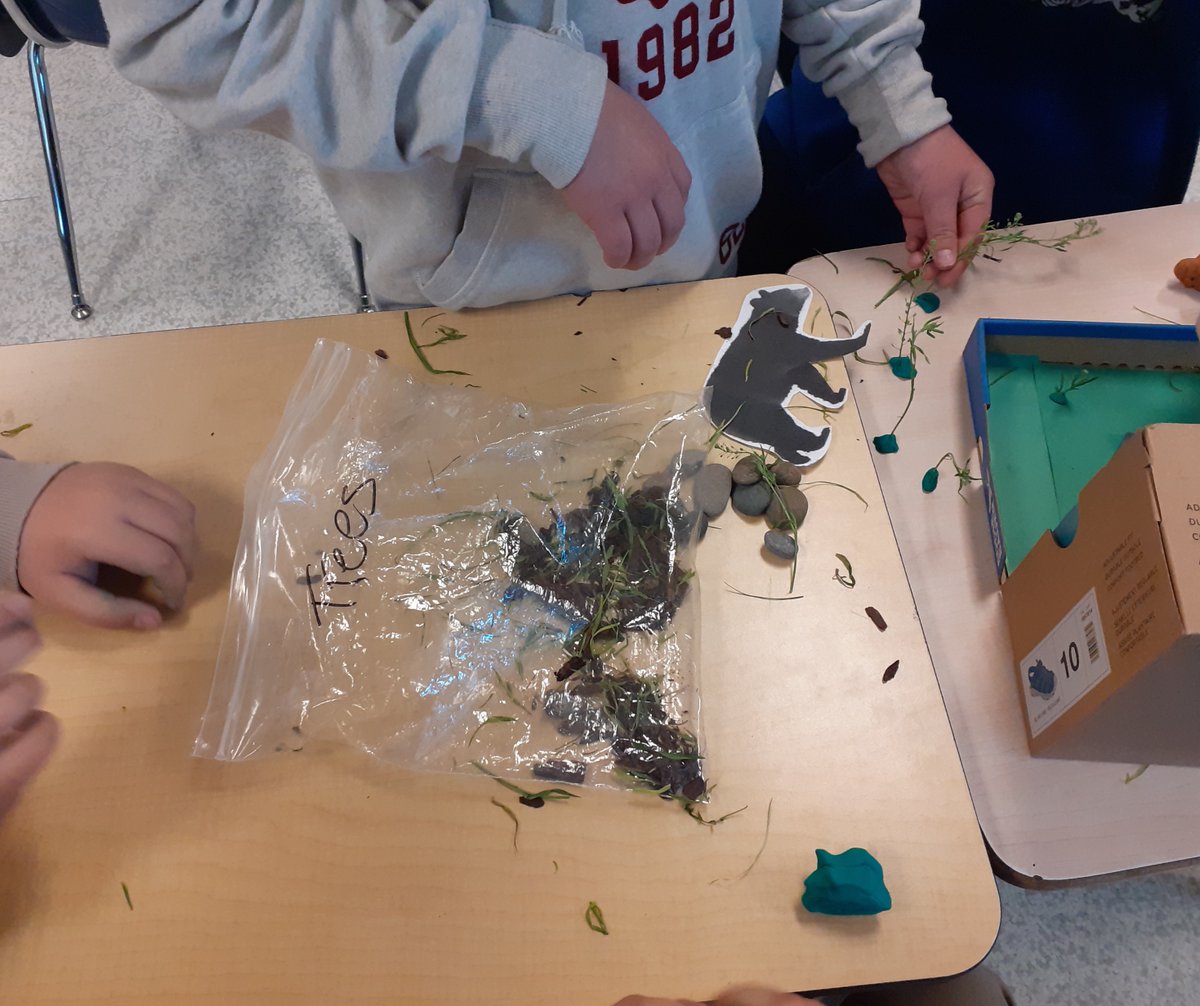🌱 This week, French immersion students at École Frank Ross Elementary in #DawsonCreek took part in an immersive environmental experience thanks to a visit from EcoNova!

Big thanks to @immersart_FCCF for funding support for this activity! 🙏