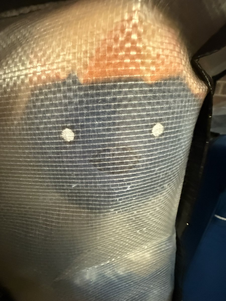 “REEELLLEEEAAASE MMEEEEEEEEEEEE!!!!!!!”