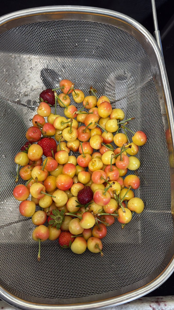 Fortapachefun's tweet image. First harvest of the year!