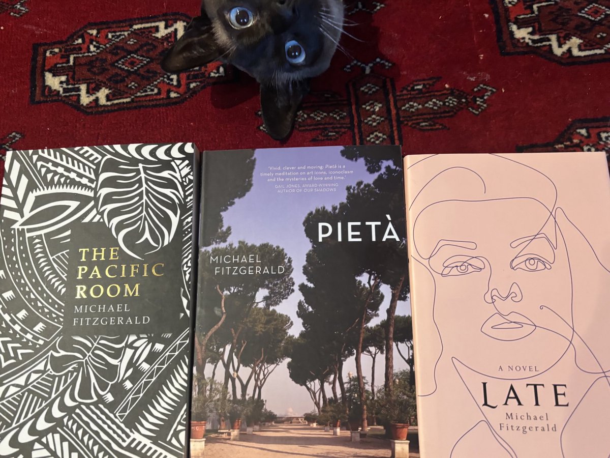 Congratulations to Michael Fitzgerald  from all at the Transit Lounge on being awarded a Creative Australia Rome residency at the BR Whiting Studio  in 2026.