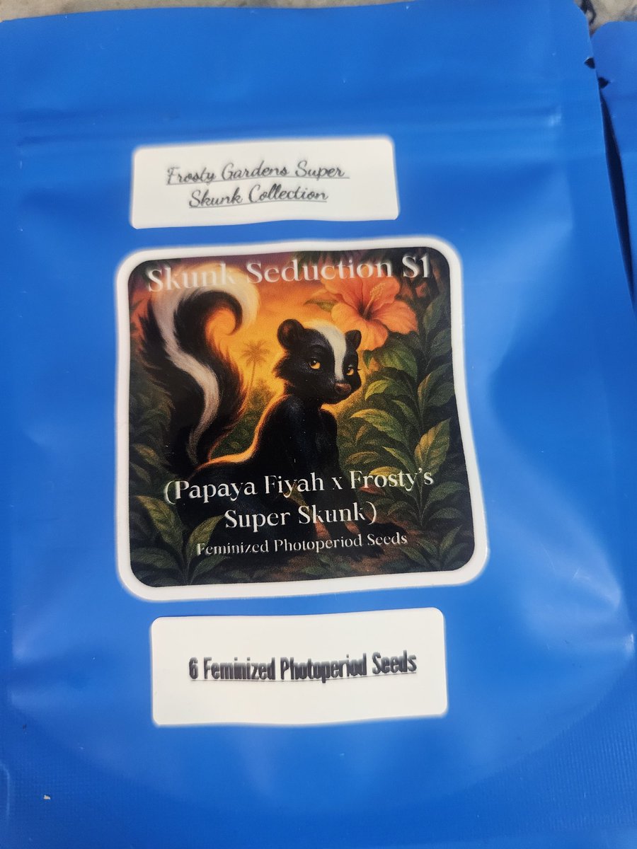 FrostyGardens's tweet image. 🚨 New Seed Drop + $15 OFF
Use code Frosty15 at checkout 🌱

💥 Frosty's Super Skunk (90s Skunk x Loki’s Staff)
🔥 Skunk Seduction (Papaya Fiyah x Loki)
🦈 Neptune Shark (GWS x Loki x FSS)
🧊 Loki’s Staff
🏔️ Kandahar A/B (Pure Afghani)

🎯 frostygardens.com
#SeedDrop