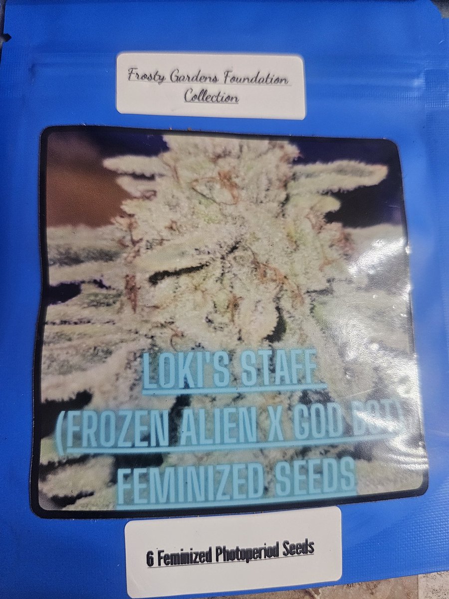 FrostyGardens's tweet image. 🚨 New Seed Drop + $15 OFF
Use code Frosty15 at checkout 🌱

💥 Frosty's Super Skunk (90s Skunk x Loki’s Staff)
🔥 Skunk Seduction (Papaya Fiyah x Loki)
🦈 Neptune Shark (GWS x Loki x FSS)
🧊 Loki’s Staff
🏔️ Kandahar A/B (Pure Afghani)

🎯 frostygardens.com
#SeedDrop