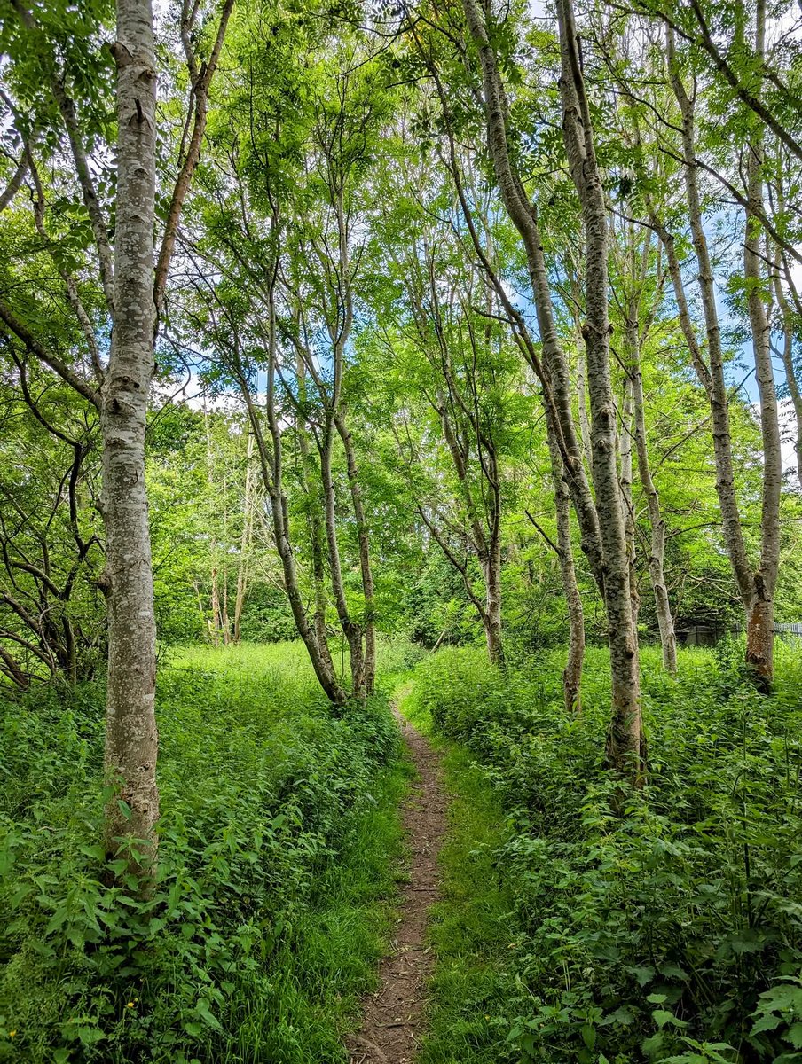 Goodnight from my little corner of Scotland 😁