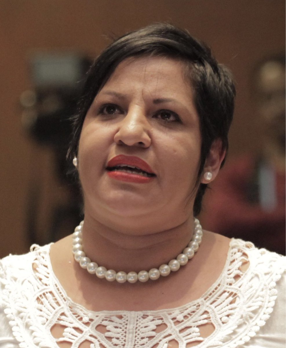 Con el respeto que se merecen los legisladores oficialistas (yo también lo fui) - ustedes NO pueden no calificar e impedir el sustanciamiento de un juicio político - tienen la obligación legal de sustanciarlo y que el Pleno (máximo órgano donde uds además tienen mayoría) tome una