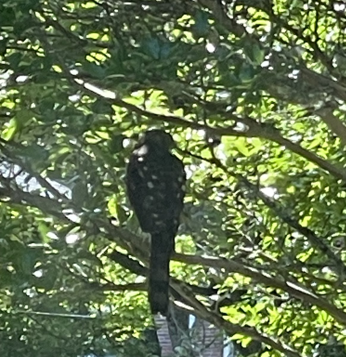 Fabio Ghironi tweet media