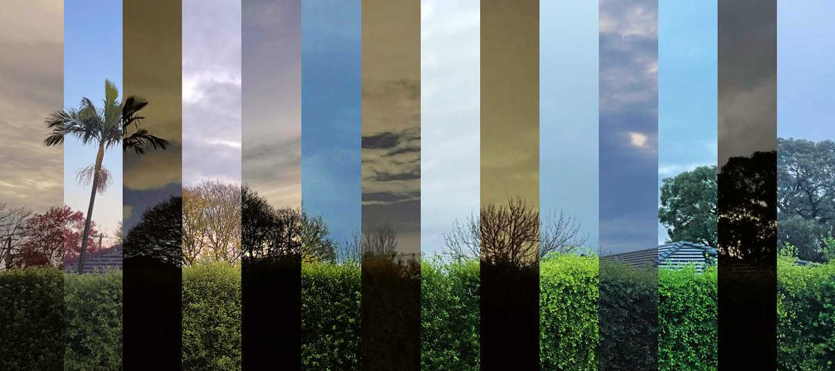 十吨泥 tweet media