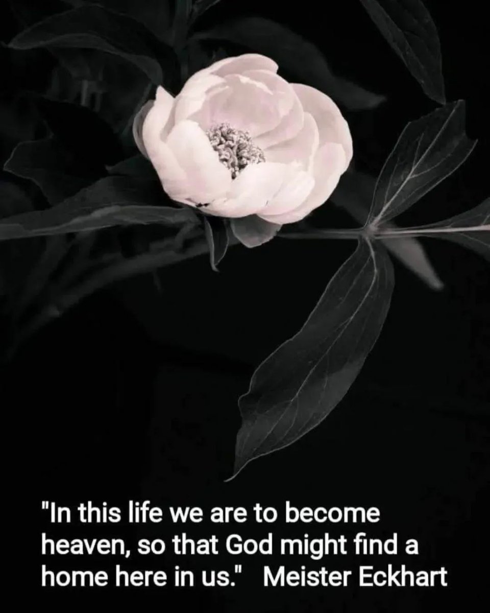 PEACE  IS GOD
शांतं ब्रह्म 🙏