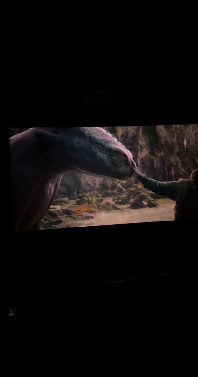 lli8z7's tweet photo. Toothless 🦕🏴‍☠️ https://t.co/gkelEOp0hW