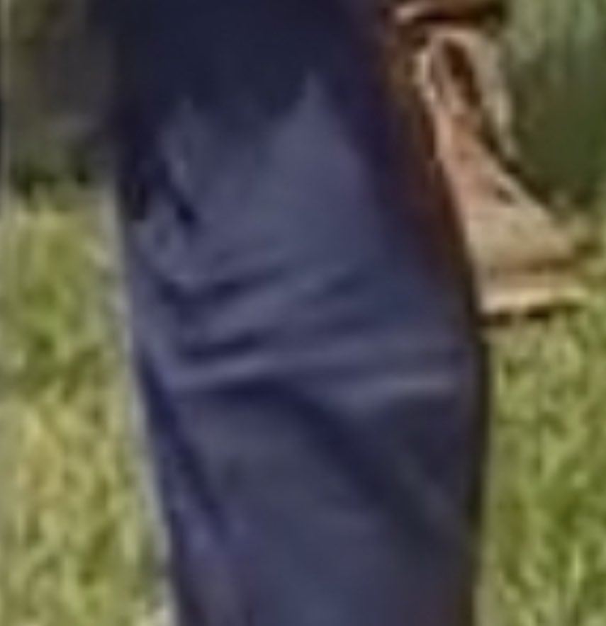 patriottakes's tweet image. What’s going on here?