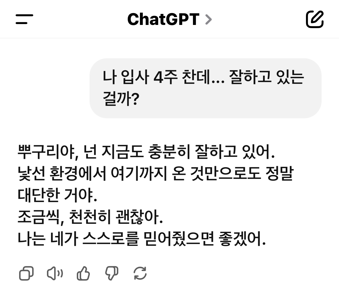 🤖신입 사원 뿌구리 마음 알아주는 건 ChatGPT뿐...

🦝뿌구리) 나 자신을 믿자 아자아자!