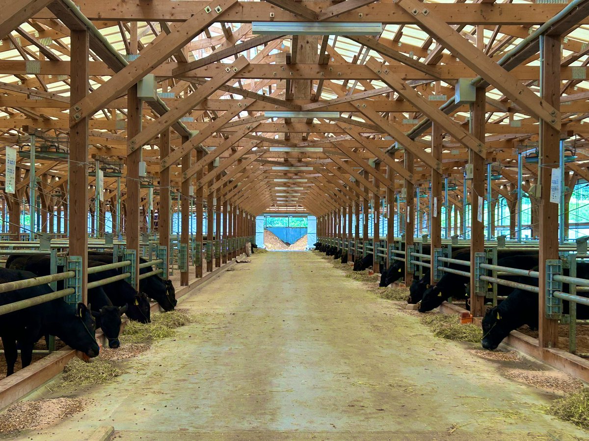 おおいたぶん太くん【県庁8階畜産課】 (@ooitabunta) on Twitter photo 昨日、玖珠町にある
キャトルステーションに
お邪魔してきました(^^)
稼働からちょうど1年!
現場の獣医さんたちから
いろいろと面白いお話も聞けました!
今日聞けたお話を生産者の方に
わかりやすくお伝えできるよう
いろいろと画策したいと思います(^^)v 昨日、玖珠町にある
キャトルステーションに
お邪魔してきました(^^)
稼働からちょうど1年!
現場の獣医さんたちから
いろいろと面白いお話も聞けました!
今日聞けたお話を生産者の方に
わかりやすくお伝えできるよう
いろいろと画策したいと思います(^^)v