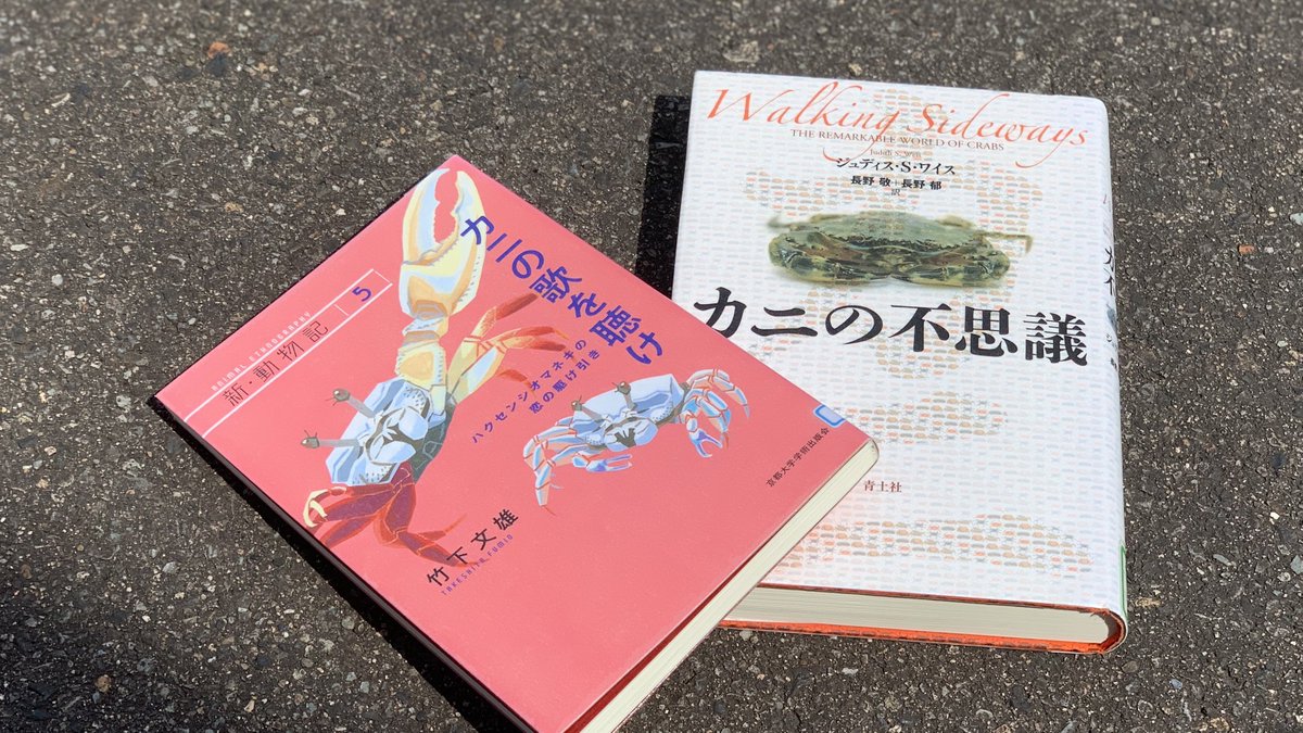 世界新動物記 西江仁德〈新・動物記〉シリーズ (@hitonarunishie) / X