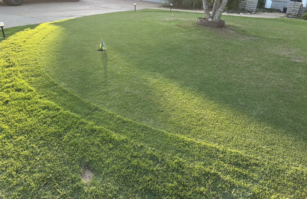 Jason Freeman tweet media