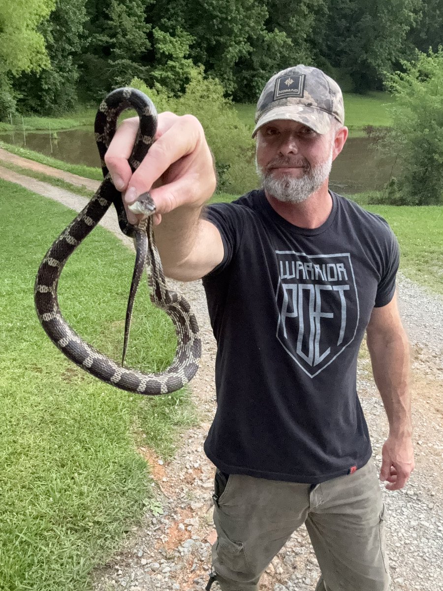 sdcoile's tweet image. It’s finally feelin’ like summer and I’m seeing a lot more of my frands. 
BTW, snakes smell worse than a monkey’s butt and are usually covered in salmonella, so wash your hands.