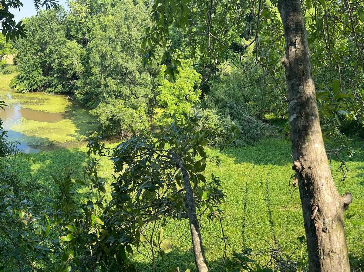 Buck_Chasers's tweet photo. Nearly a hundred stands already completed. Things are shaping up nicely to be another incredibly blessed season here at Buck Chasers. #guidelife #treestands #illinoishunting #hunting #melleniumtreestands #landscapemanagement https://t.co/bepKCuuiOL