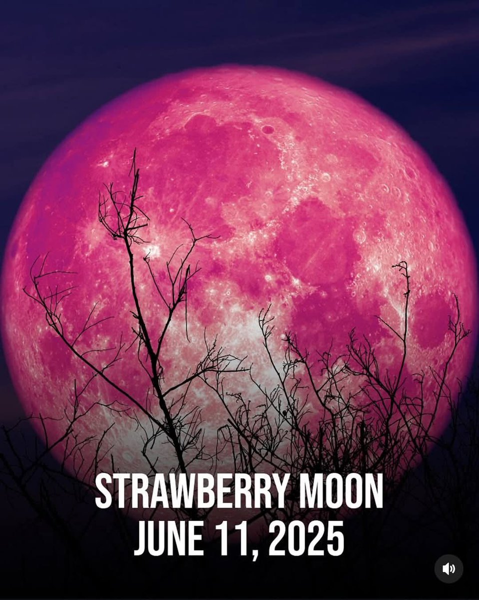 Master Psilocyeph tweet media