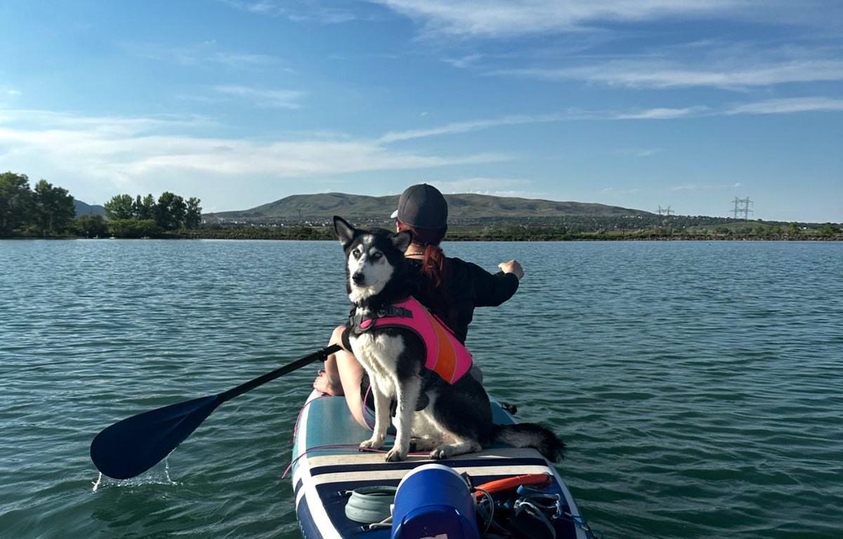 LilBoots tweet media