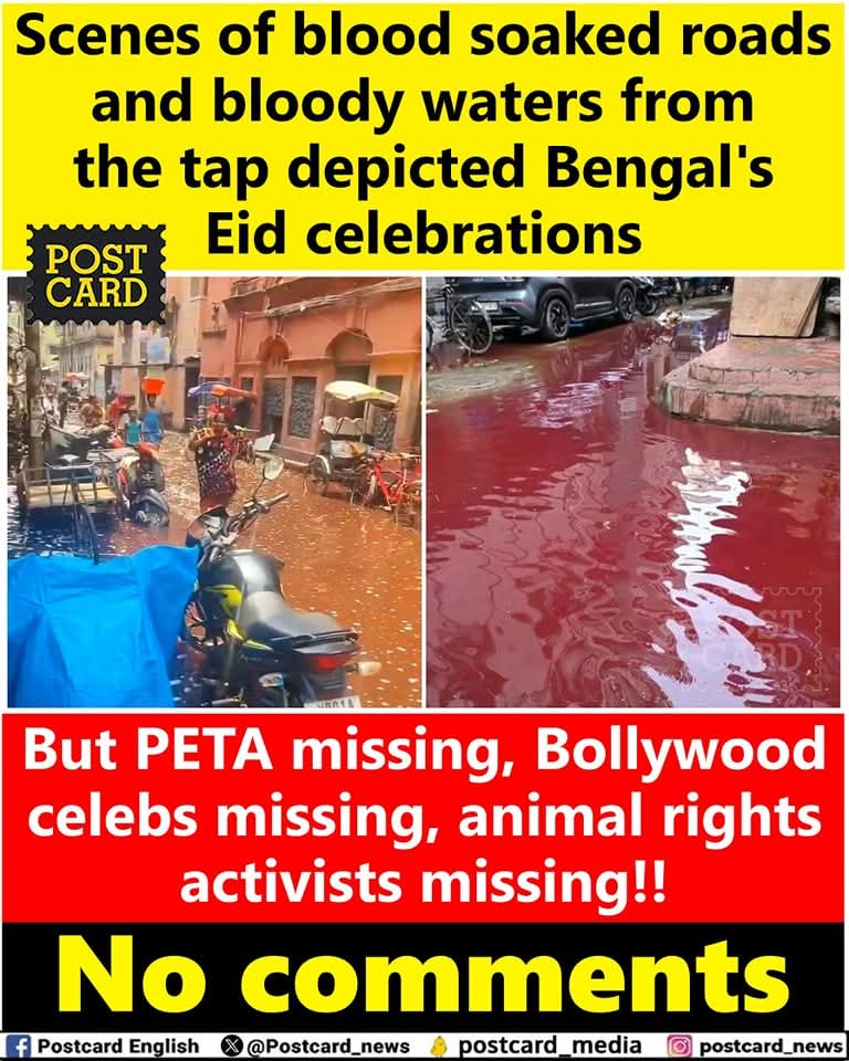 Peta India discriminates against Hindus while supporting violent Islamic festivals. What is this hypocrisy. This is an organization in India that is totally biased. Peta India are cowards. Shame on you.