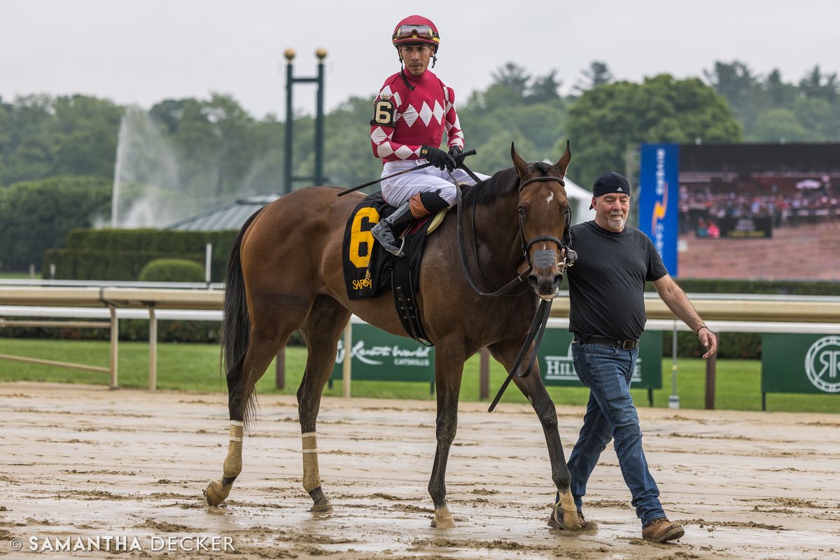 Samantha Decker (she/her) 📷 (@sdeckerphoto) on Twitter photo Still going through photos from <a href="/BelmontStakes/">Belmont Stakes</a> weekend: Here's Nitrogen winning an off the turf Grade III Wonder Again Stakes with José Ortiz onboard in her fifth consecutive stakes victory.
Shot for the <a href="/saratogaspecial/">The Saratoga Special</a> Still going through photos from <a href="/BelmontStakes/">Belmont Stakes</a> weekend: Here's Nitrogen winning an off the turf Grade III Wonder Again Stakes with José Ortiz onboard in her fifth consecutive stakes victory.
Shot for the <a href="/saratogaspecial/">The Saratoga Special</a>