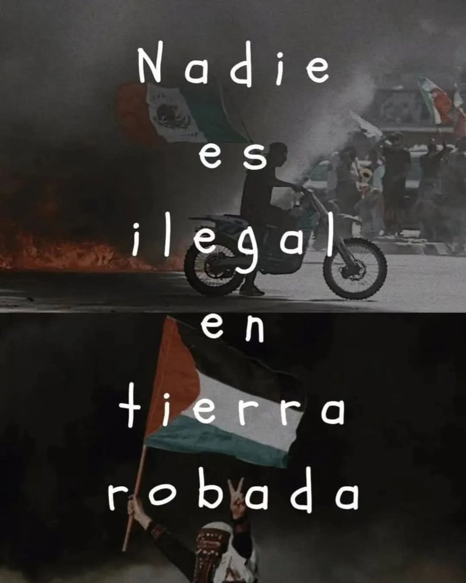 nxstypxet's tweet image. 